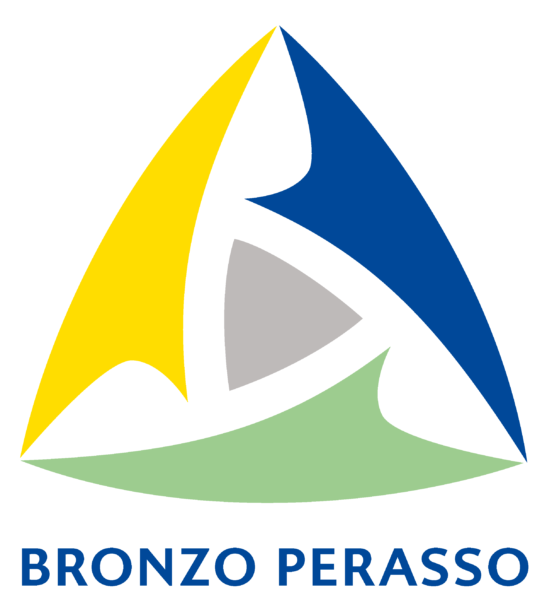 BRONZO PERASSO BRONZO PERASSO